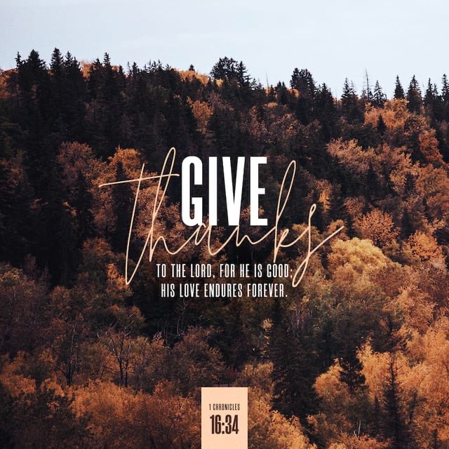 UcheChikwend's tweet photo. Thanks giving is password in the journey into God’s presence(Ps100:4) It is also the wrapper with which we package our prayers &amp; request to the Almighty(Phil 4:6) It is an expression of gratitude to God almighty for all He has done, is doing &amp; will yet do. https://t.co/ZoMpJ1C7XV https://t.co/Gt8ZJ8y3Vc