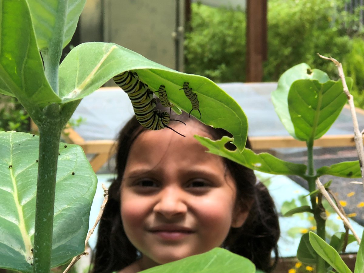 BocaRecreation's tweet photo. Come Bugio with us! Join us at the #ChildrensScienceExplorium to learn how to use the #iNaturalist app and participate in the City-Wide #NatureChallenge. Make a Bug Hotel paper doll house, take a guided garden tour, and play Bugio Bingo!
🐛 April 29 and 30, 10:30am, ages 5+ https://t.co/s9v6PGgjkI