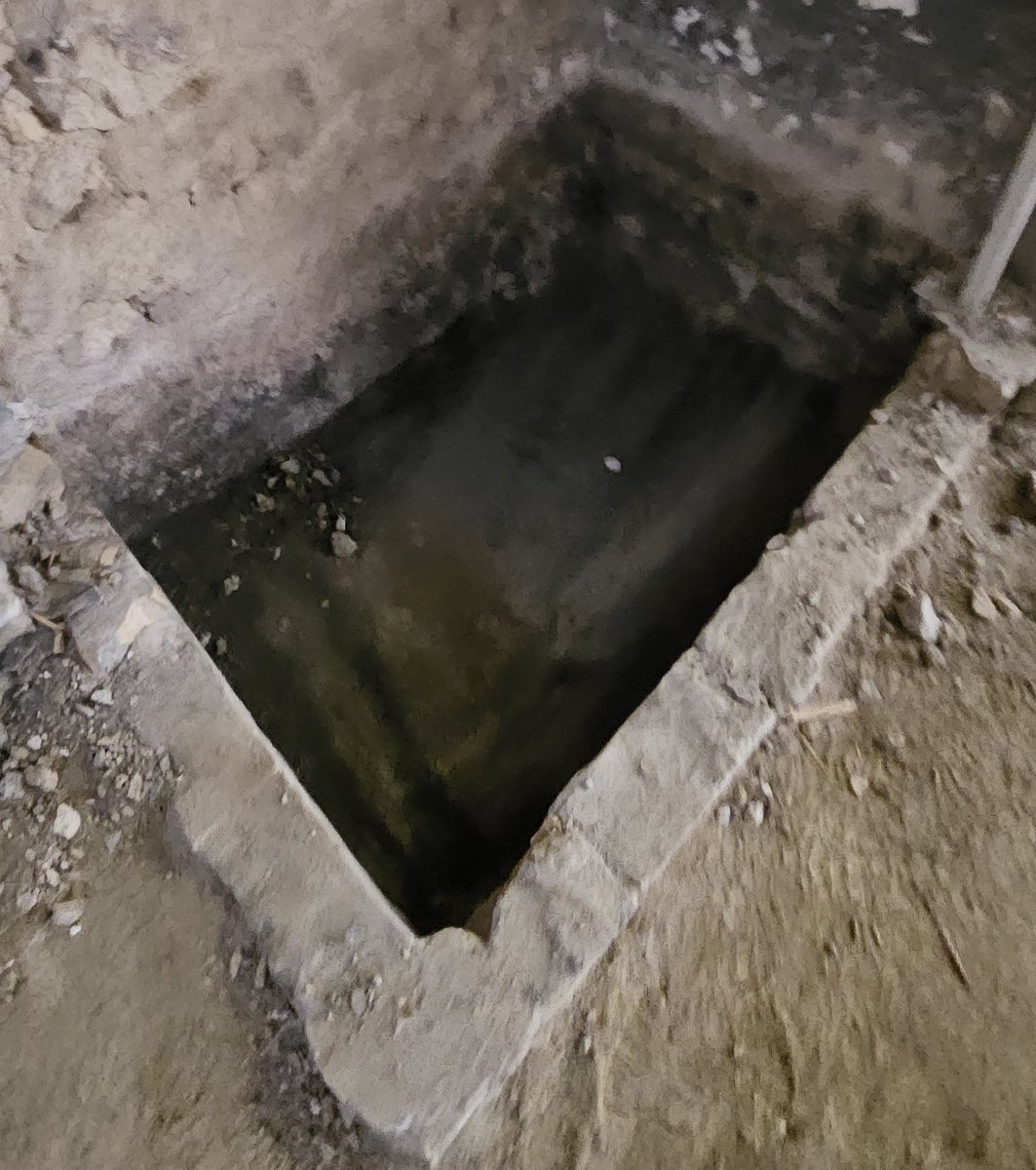 christian j buettner tweet media