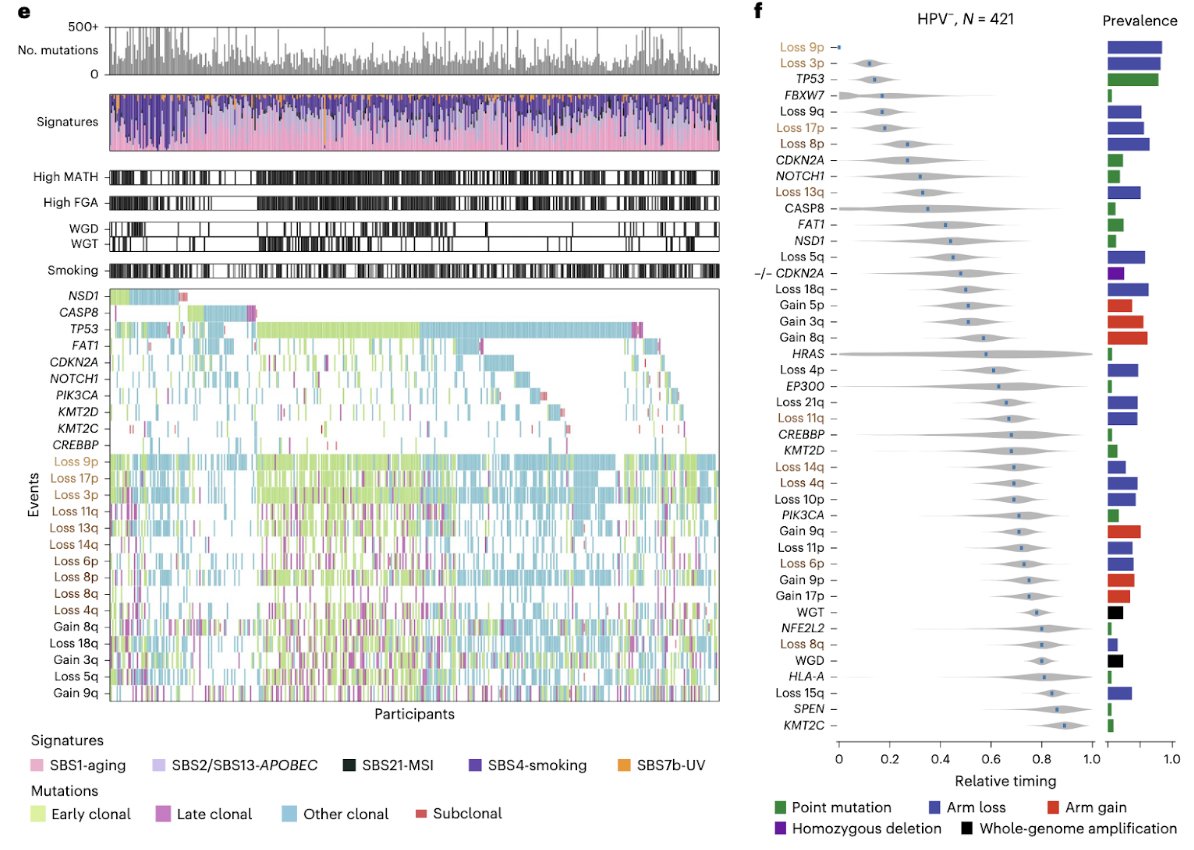 Gad Getz Laboratory (@getz_lab) on Twitter photo (1/3) Out now <a href="/NatureCancer/">Nature Cancer</a>! Our collab with Dr. James Rocco <a href="/OhioState/">Ohio State</a> shows that our PhylogicNDT suite of tools can infer early genetic progression and timing of mutations to identify early drivers in HPV- & HPV+ head and neck cancers (#HNSCC) rdcu.be/damHp (1/3) Out now <a href="/NatureCancer/">Nature Cancer</a>! Our collab with Dr. James Rocco <a href="/OhioState/">Ohio State</a> shows that our PhylogicNDT suite of tools can infer early genetic progression and timing of mutations to identify early drivers in HPV- & HPV+ head and neck cancers (#HNSCC) rdcu.be/damHp