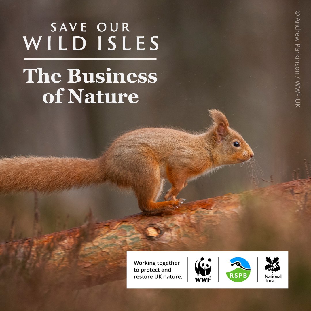 Nature loss is bad for business and it’s time we harness the power of nature to ensure a thriving economy for everyone. Watch the #SaveOurWildIsles Business films to find out more: saveourwildisles.org.uk/business
#SaveOurWildIslesBusiness #SaveOurWildIsles