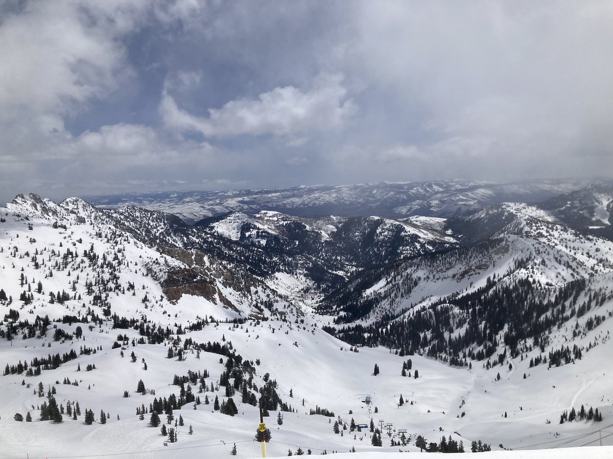 Tori Osinski (@tori_osinski) on Twitter photo Back home after lots of stunning views and exciting new myeloid research at the #KSMyeloid23 <a href="/KeystoneSymp/">Keystone Symposia</a>. Learned a ton and looking forward to reading more about everyone’s work. Back home after lots of stunning views and exciting new myeloid research at the #KSMyeloid23 <a href="/KeystoneSymp/">Keystone Symposia</a>. Learned a ton and looking forward to reading more about everyone’s work.
