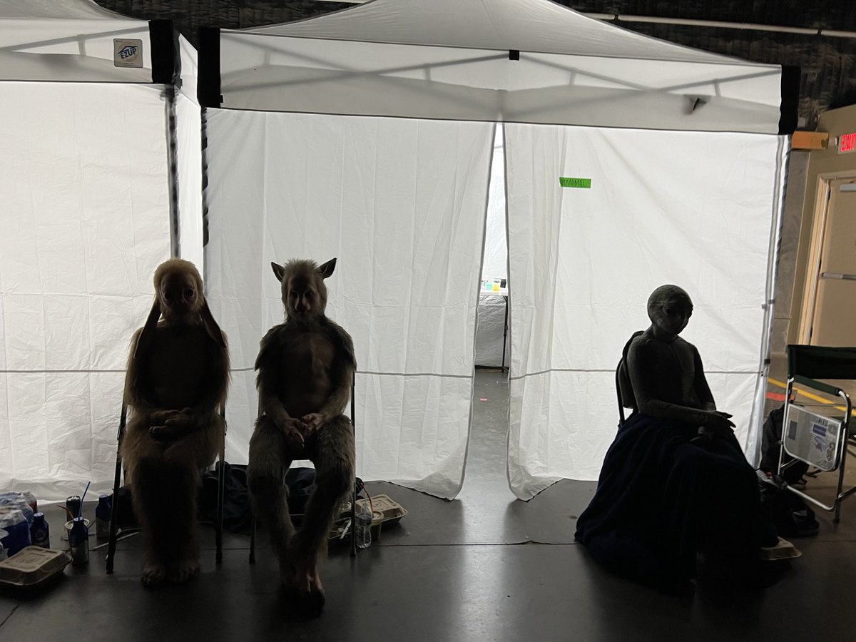 JamesGunn's tweet photo. Humanimals on the set of #gotgvol3 🐰🦘🐢 https://t.co/DGzESDqJcJ