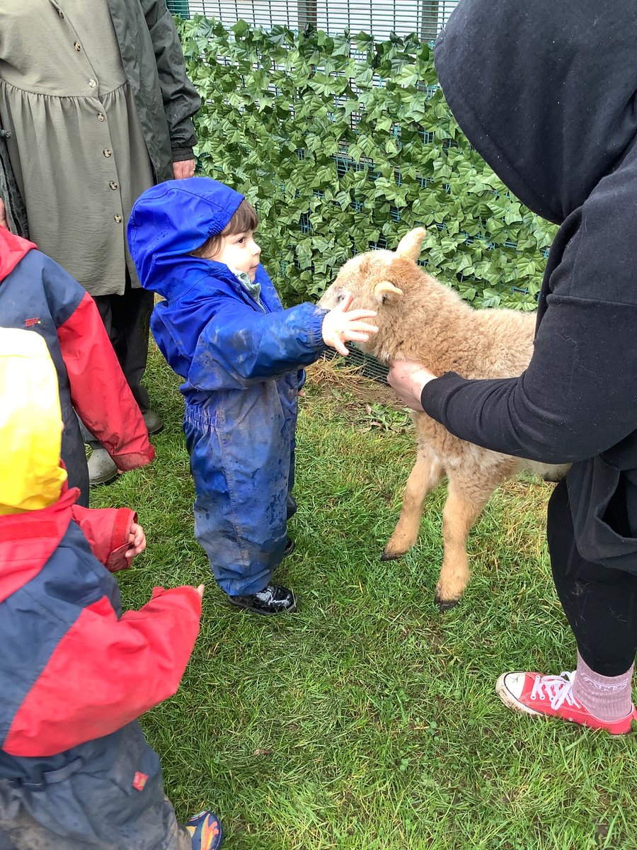 LittleAcornsMB1's tweet photo. E… Had a little lamb, who she brought to Nursery one day… 🐑 @MBHeadteacher @MillbrookP https://t.co/DHAJNGrFym