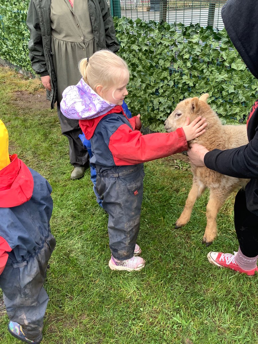 E… Had a little lamb, who she brought to Nursery one day… 🐑 @MBHeadteacher <a href="/MillbrookP/">Millbrook Primary</a>