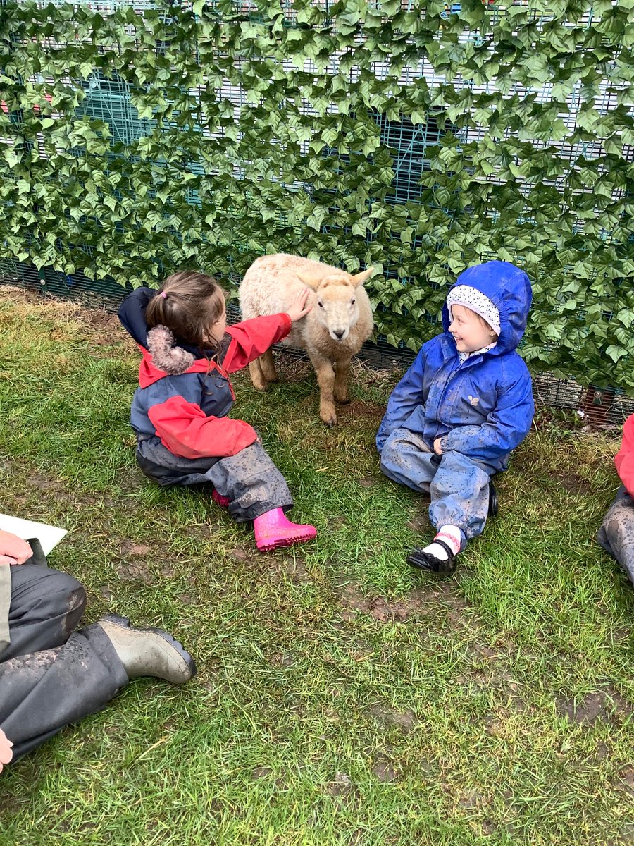LittleAcornsMB1's tweet photo. E… Had a little lamb, who she brought to Nursery one day… 🐑 @MBHeadteacher @MillbrookP https://t.co/DHAJNGrFym