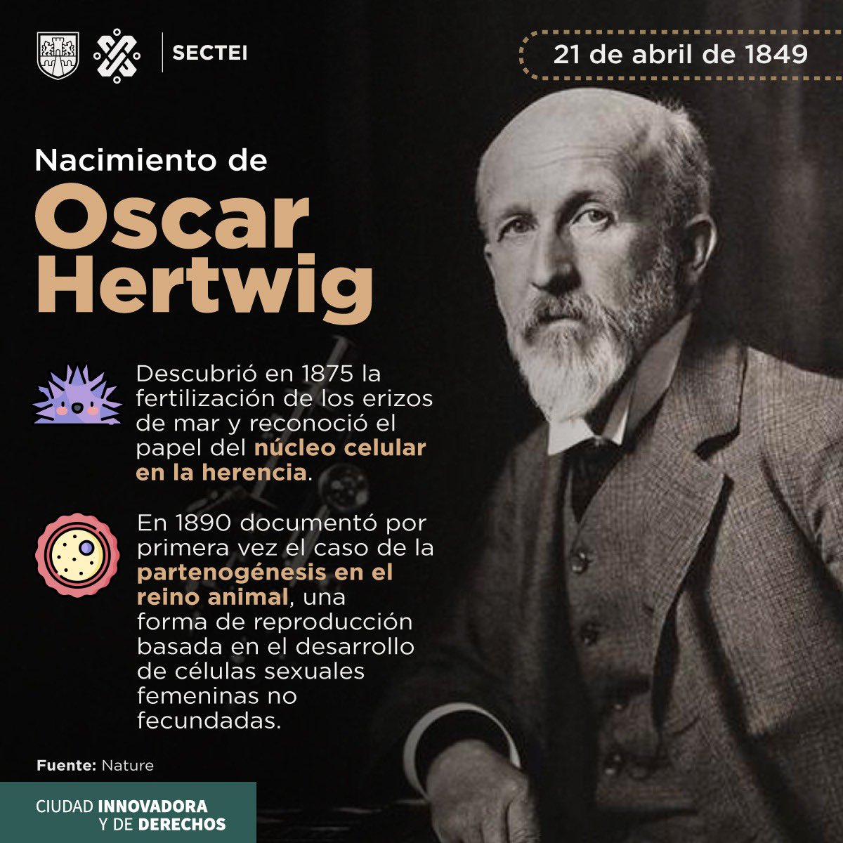 Oscar Hertwig