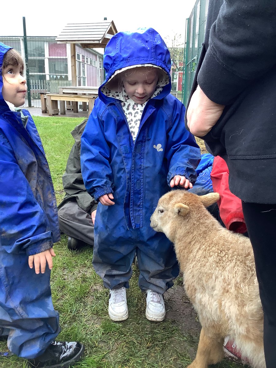 LittleAcornsMB1's tweet photo. E… Had a little lamb, who she brought to Nursery one day… 🐑 @MillbrookP @MBHeadteacher https://t.co/heBVHhLwNo