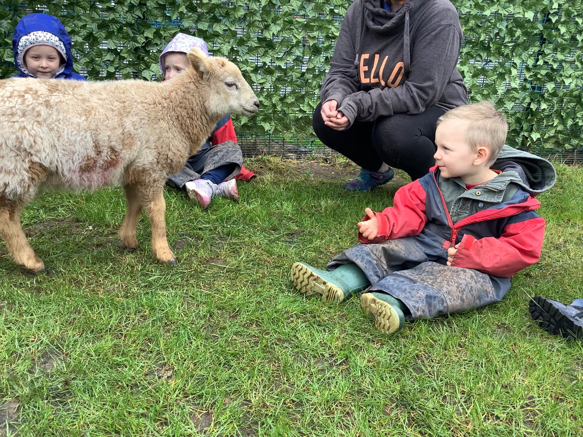 LittleAcornsMB1's tweet photo. E… Had a little lamb, who she brought to Nursery one day… 🐑 @MillbrookP @MBHeadteacher https://t.co/heBVHhLwNo