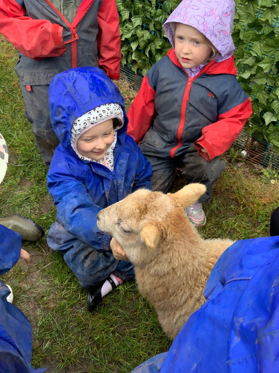 LittleAcornsMB1's tweet photo. E… Had a little lamb, who she brought to Nursery one day… 🐑 @MillbrookP @MBHeadteacher https://t.co/cL1Lt19IKz