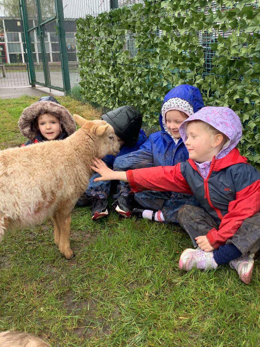 E… Had a little lamb, who she brought to Nursery one day… 🐑 <a href="/MillbrookP/">Millbrook Primary</a> @MBHeadteacher