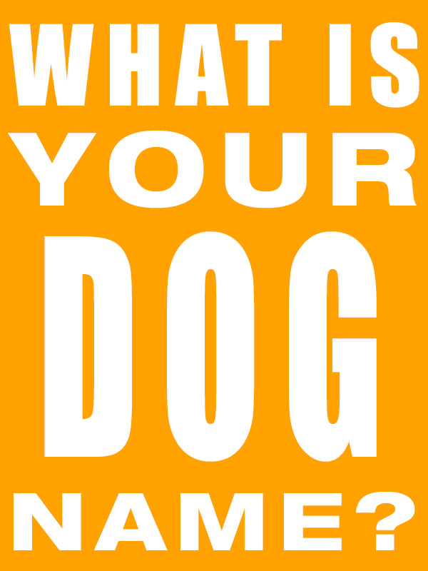 dachshundbonus's tweet photo. What is your dog name? #dogs #dogname #doglovers https://t.co/zde8Om9RgD