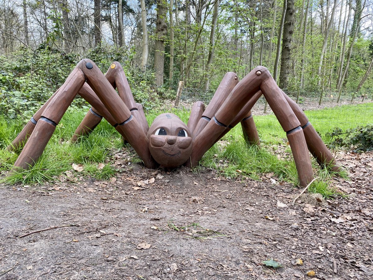 OpPADinVL's tweet photo. Een wel hele grote kruisspin kruist mijn pad in het Beisbroekbos in de buurt van ⁦@StadBrugge. Een exemplaar met schele ogen en een lachende mond. Wat je al wandelend niet kunt tegenkomen. #wandelen #vrijdagnamiddag https://t.co/ZncBgcbypx