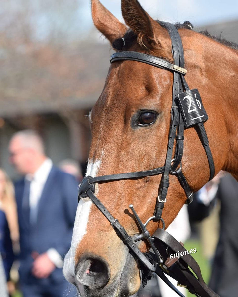 #CorachRambler #Aintree2023 @lucindavrussell