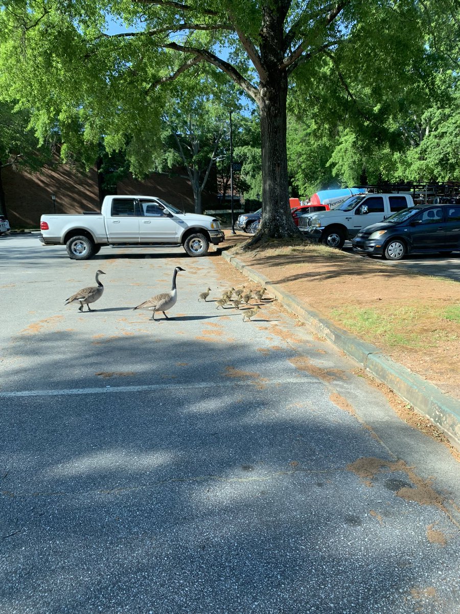 USC Upstate CAHSS tweet media