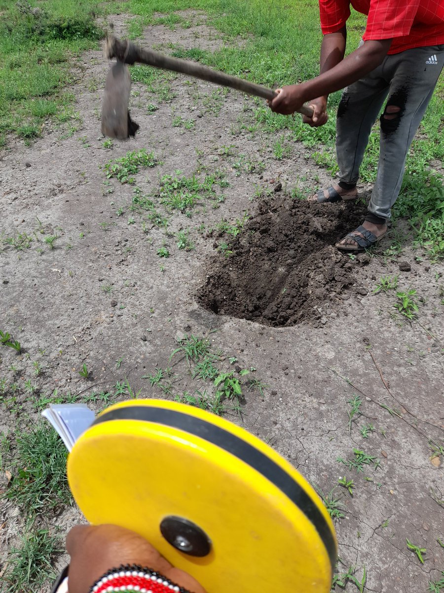 onion doctor on Twitter: