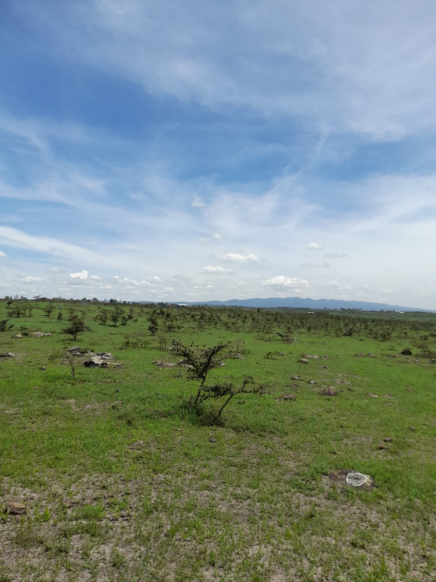 onion doctor on Twitter: