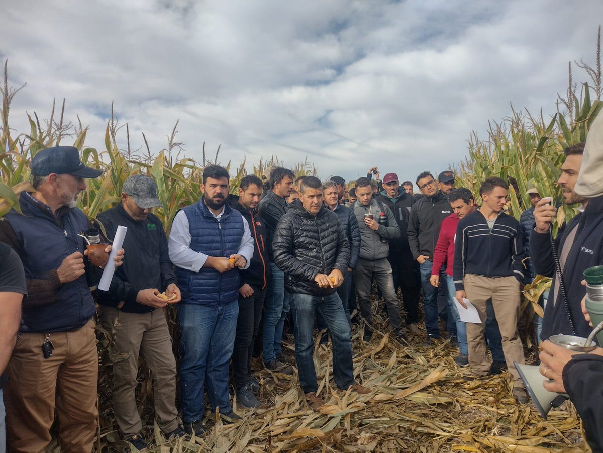 crea_cor's tweet photo. A pleno comenzó la jornada 😃 
¿Hacer o no hacer maíz para silaje? 

Hoy unos cuantos se irán con alguna respuesta...😉
#MesaGanadera #CREACOR #SomosCREA https://t.co/9EkYshYtty