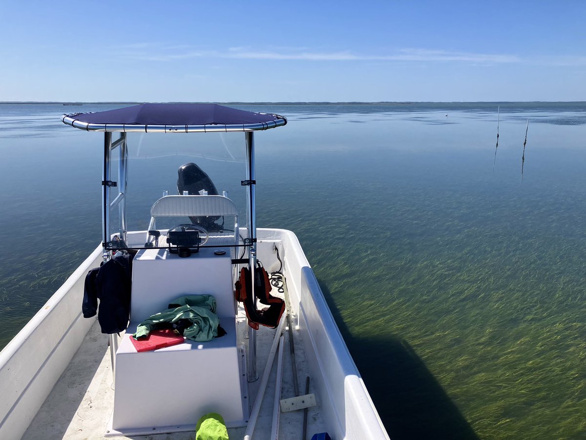 Sophia Hoffman tweet media