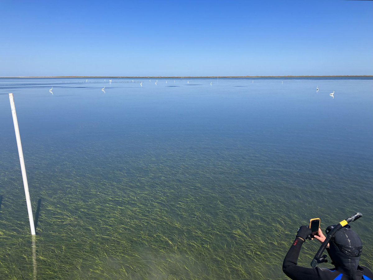 Sophia Hoffman tweet media