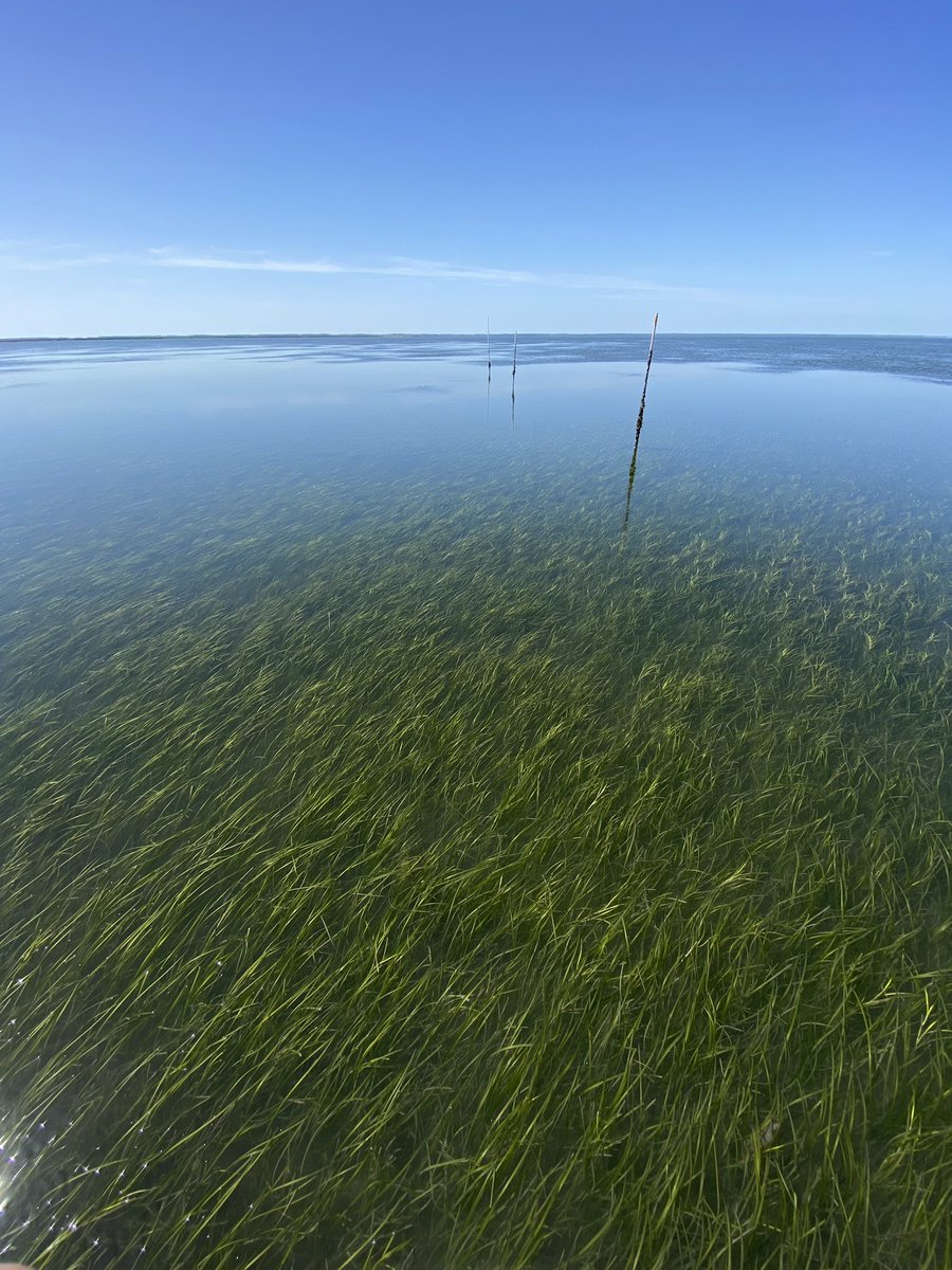 Sophia Hoffman tweet media