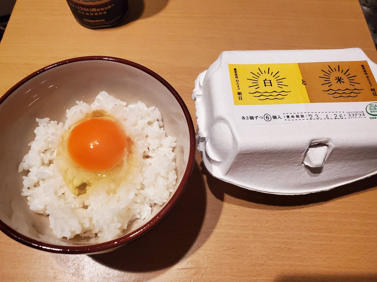 #人志松本の酒のツマミになる話 を観ながら食べるTKG最高です😊