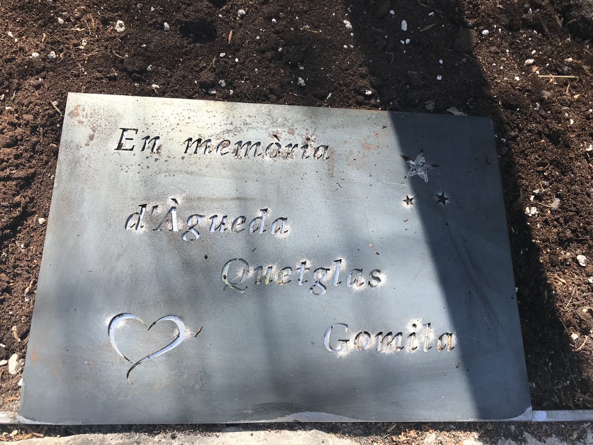 CIDEcooperativa's tweet photo. Avui hem viscut un acte d'homenatge a la nostra antiga alumna Àgueda Quetgles, que va perdre la vida aquest estiu en un accident de cotxe als 19 anys. La seva mare, acompanyada de familiars, amics i professors, ha plantat un arbre en la seva memòria. Gràcies! @CooperativaCIDE https://t.co/jiWEReEklF