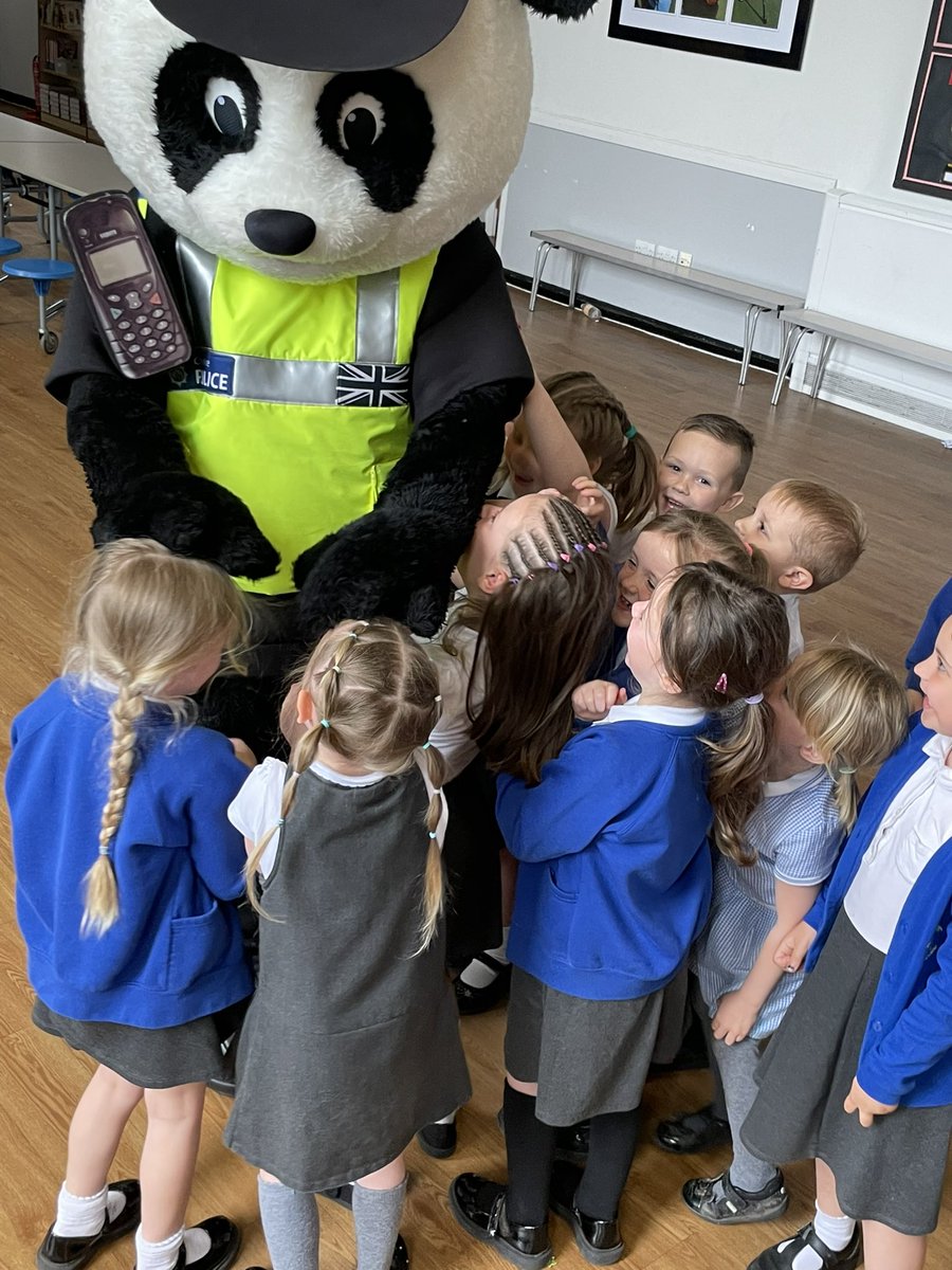 Y1 HighStPrimary tweet media