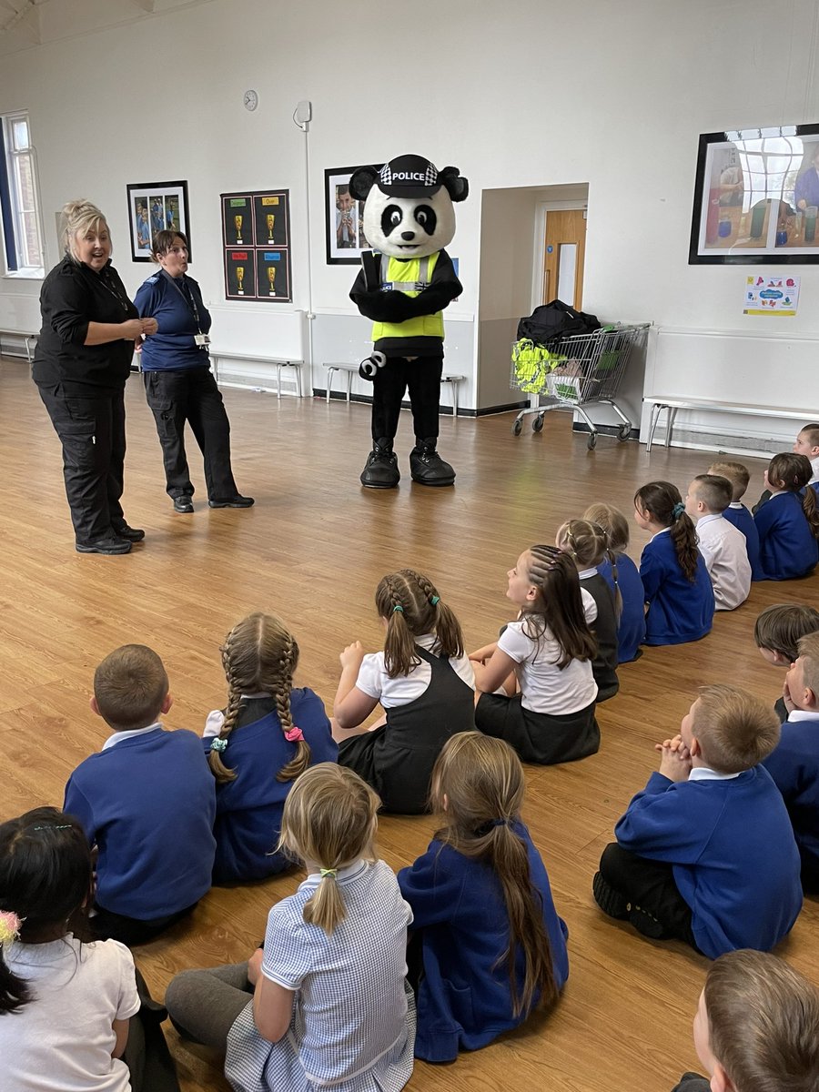 Y1 HighStPrimary tweet media