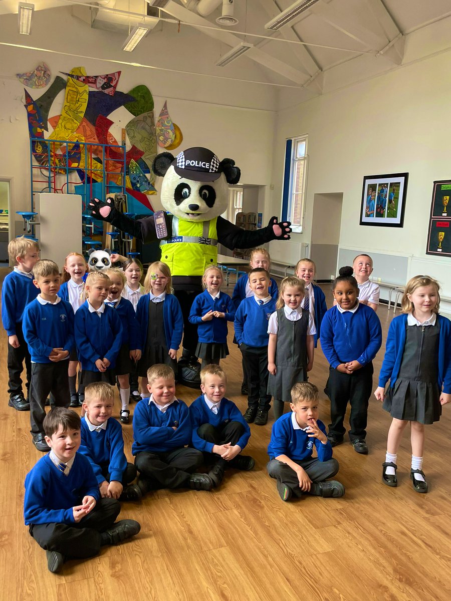 Y1 HighStPrimary tweet media