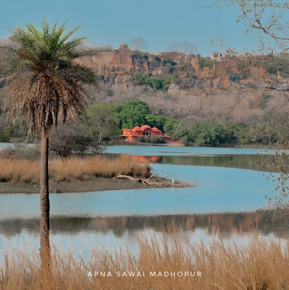 ApnaSWM's tweet photo. Jogi Mahal, Ranthambore
Sawai Madhopur, Rajasthan
.
.
#sawaimadhopur #ranthambore #ranthambhore #jogimahal #ranthamborenationalpark #apnasawaimadhopur https://t.co/j7OsVfQxzK