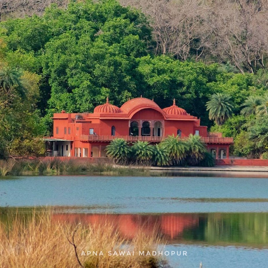 ApnaSWM's tweet photo. Jogi Mahal, Ranthambore
Sawai Madhopur, Rajasthan
.
.
#sawaimadhopur #ranthambore #ranthambhore #jogimahal #ranthamborenationalpark #apnasawaimadhopur https://t.co/j7OsVfQxzK
