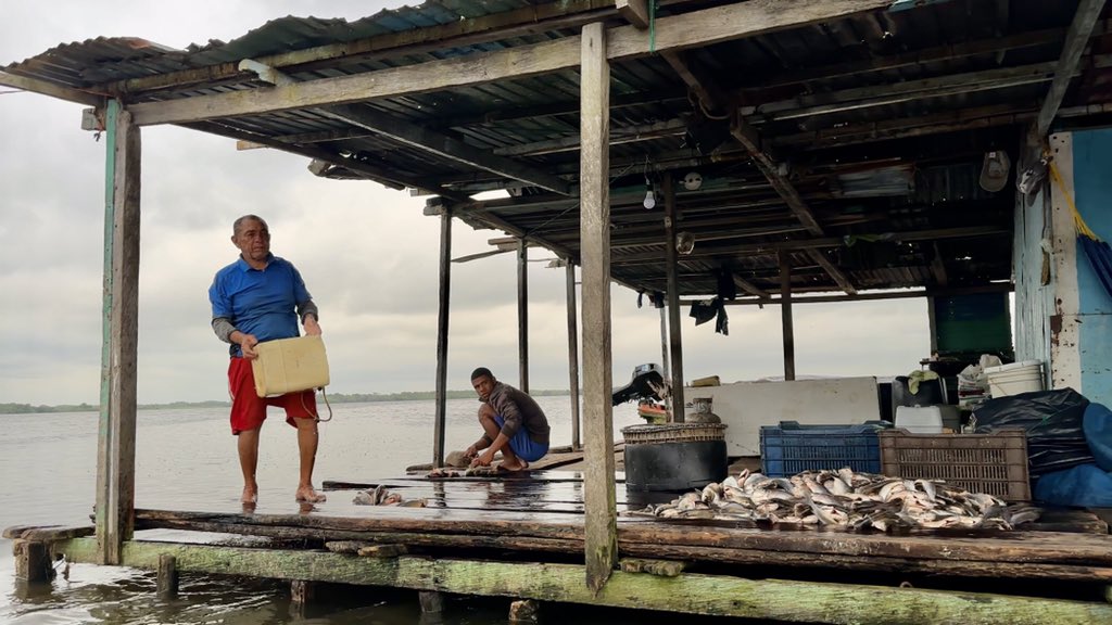 Joel Dullroy tweet media