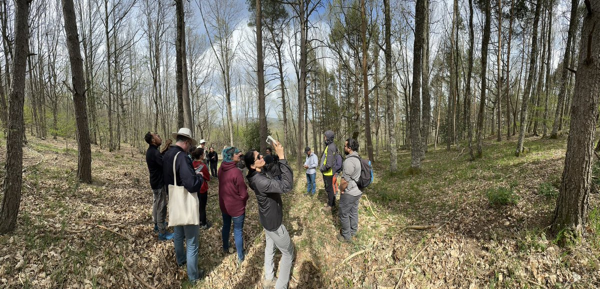YoungForesters's tweet image. 📍 4th stop Aguilar de Campoo (Palencia)

🌳🤖 Conference #ArtificialIntelligence and Ecosystems Management
#SMARTGlobalEcosystems #somosIUFOR #SoyForestal #AI