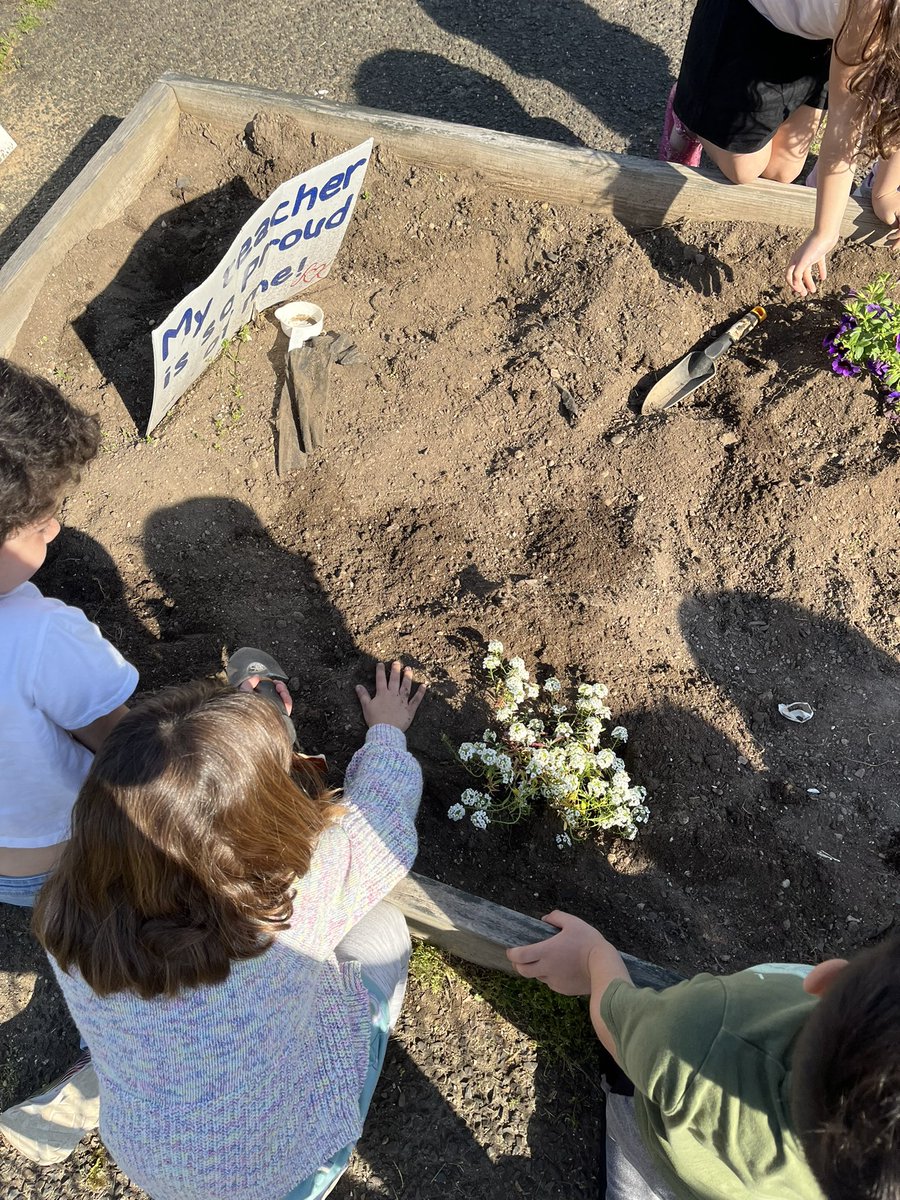 Mrs. O'Boyle tweet media