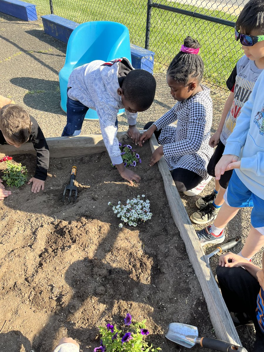 Mrs. O'Boyle tweet media