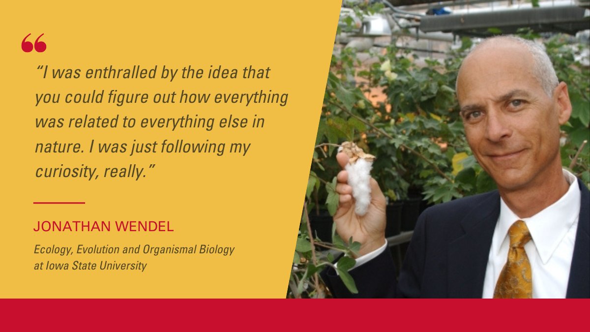 IowaStateUNews (@iowastateunews) on Twitter photo Jonathan Wendel's groundbreaking work in cotton genome sequencing has far-reaching benefits for crop producers.
The fourth #IowaState faculty member elected to the <a href="/americanacad/">American Academy of Arts & Sciences</a> says he was fascinated by plant diversity early in life.
🗞️news.iastate.edu/news/2023/04/2…
<a href="/las_iastate/">Iowa State College of Liberal Arts and Sciences</a> Jonathan Wendel's groundbreaking work in cotton genome sequencing has far-reaching benefits for crop producers.
The fourth #IowaState faculty member elected to the <a href="/americanacad/">American Academy of Arts & Sciences</a> says he was fascinated by plant diversity early in life.
🗞️news.iastate.edu/news/2023/04/2…
<a href="/las_iastate/">Iowa State College of Liberal Arts and Sciences</a>