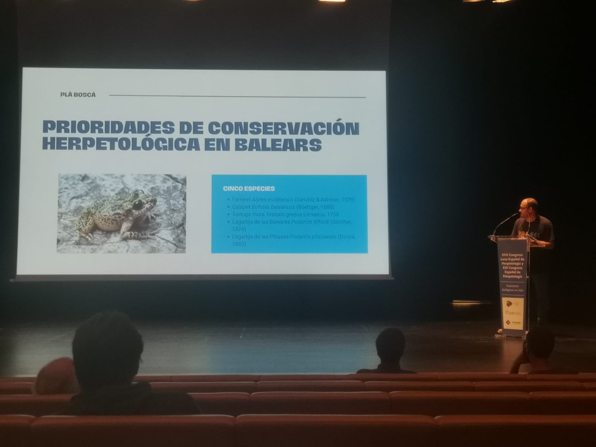 Avui toca la ponència d'en <a href="/pinya_samuel/">Samuel Pinya</a>
#biodiversitat #conservació
<a href="/Balearia/">Baleària</a> <a href="/RedElectricaREE/">Red Eléctrica</a> <a href="/UIBuniversitat/">Universitat de les Illes Balears - UIB</a>