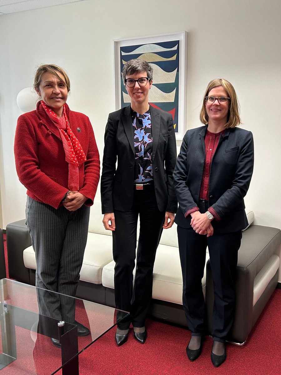 At the invitation of @NATO,🇨🇭briefed the political committee on Switzerland’s experience in the #UNSC and the upcoming presidency in May. The mission was glad to welcome Alexandra Häfliger from our Security Council team @SwissMFA in Berne. #APlusforPeace @SwitzerlandUN.