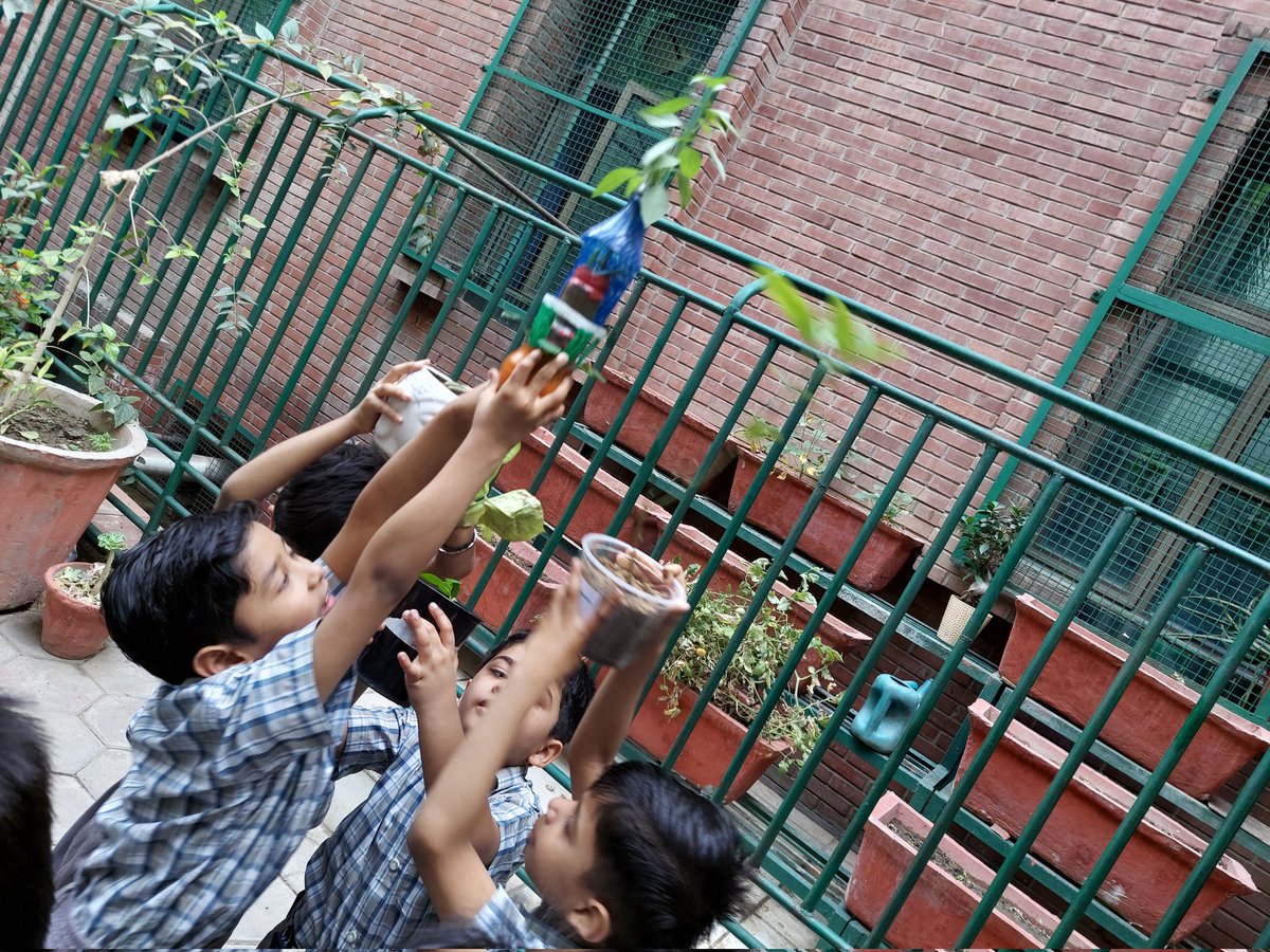 jyoti123sh's tweet photo. 'Go green and make our Earth a beautiful place to live.' Ss of cls 1 planted saplings to spread greenery on the ocassion of #earthday @ashokkp @y_sanjay @ShandilyaPooja @PreetiMehra77 #sdg5 #climatechange https://t.co/fj2ANeHZQf