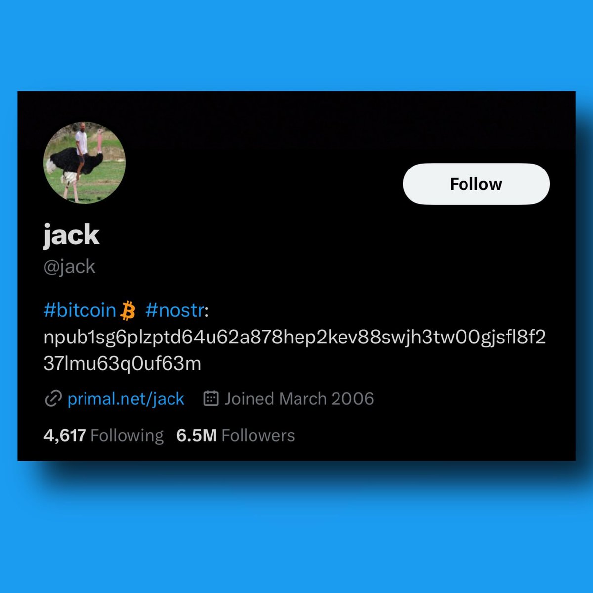 jack_404_143's tweet photo. #jackdorsey , who co-founded #Twitter in 2006 and has previously also served as its #CEO, lost #TwitterBlueTick after the platform removed all #legacyverified   #checkmarks on Thursday.

#TwitterBlue #BlueTick #BlueCheckMark #bluecheck #BlueTickRemoved #latestnews #Latest #Update #technologies #CongratsFreshyFourth #ShowmeloveTheseriesEP8