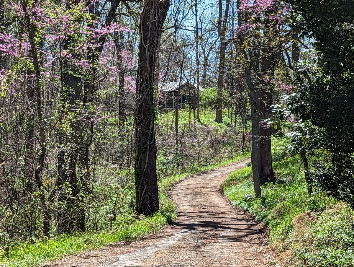 JMMontpelier's tweet photo. #EarthDay blossomed onto the American scene on April 22, 1970.
Of our 6 1st #AmendmentRights (free exercise of religion, no establishment of religion, speech, press, assembly, & petition), which do you rank as your top 3 for changing & improving our communities?
Tell us below!⬇️ https://t.co/hImAcRejO9