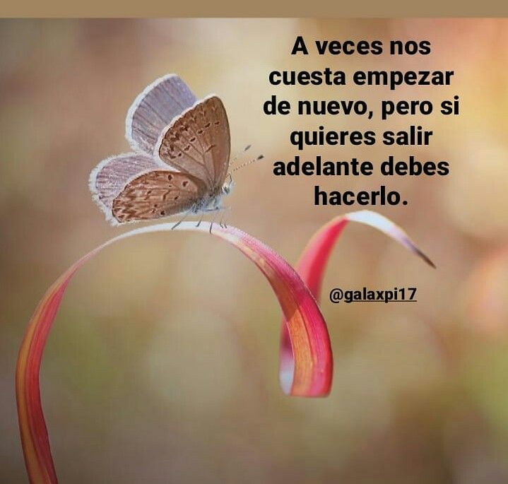 Es difícil volver a empezar pero ay que hacerlo para ser felz.