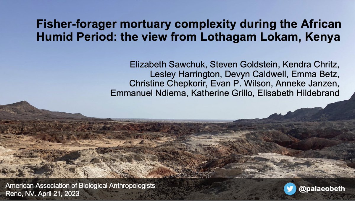 palaeobeth's tweet photo. Sharing some ✨brand new results✨ from our team’s work in Turkana this morning in Tuscany 3 at 10:15. If you’re into bioarch, classic 1960s field photos, solving old mysteries &amp; messy questions about human responses to climate change, this one’s for you! #AABA2023 https://t.co/BN88JqQMhT