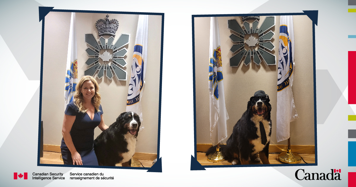 csiscanada's tweet photo. In late March, CSIS’s #BC Region welcomed @careymcbeth and Mr. Burke from the HERO DAWGS Pet Therapy Society.

Their mission was to promote mental health wellness to our employees. Mission accomplished ✅ https://t.co/hs7WDONxXR