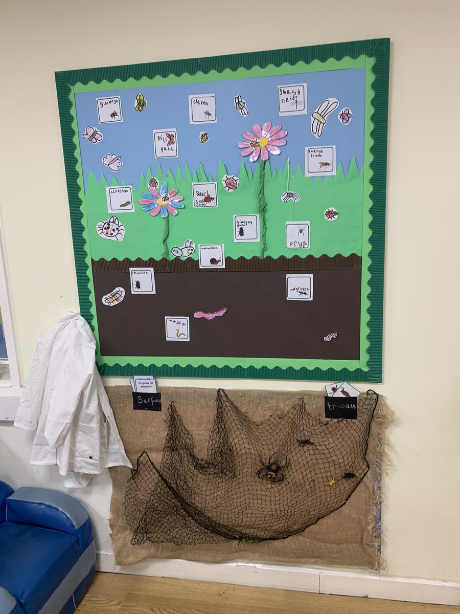 Mr_BOJames's tweet photo. Croeso i’r Labordy Trychfilod! Welcome to the Insect Lab! 🐛🪱🐌🦗🦟🕷️🕸️🐜🐝 https://t.co/3b0Pi49V9d