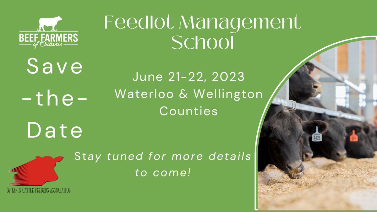 BeefFarmersON's tweet photo. Join BFO and @ONCornFedBeef for the 2023 #FeedlotManagementSchool! Featuring engaging sessions at the University of Guelph meat lab, feedlot ultrasounding demonstration, and tours of two progressive feedlots. #savethedate #ontbeef https://t.co/pQJHm2jvu1