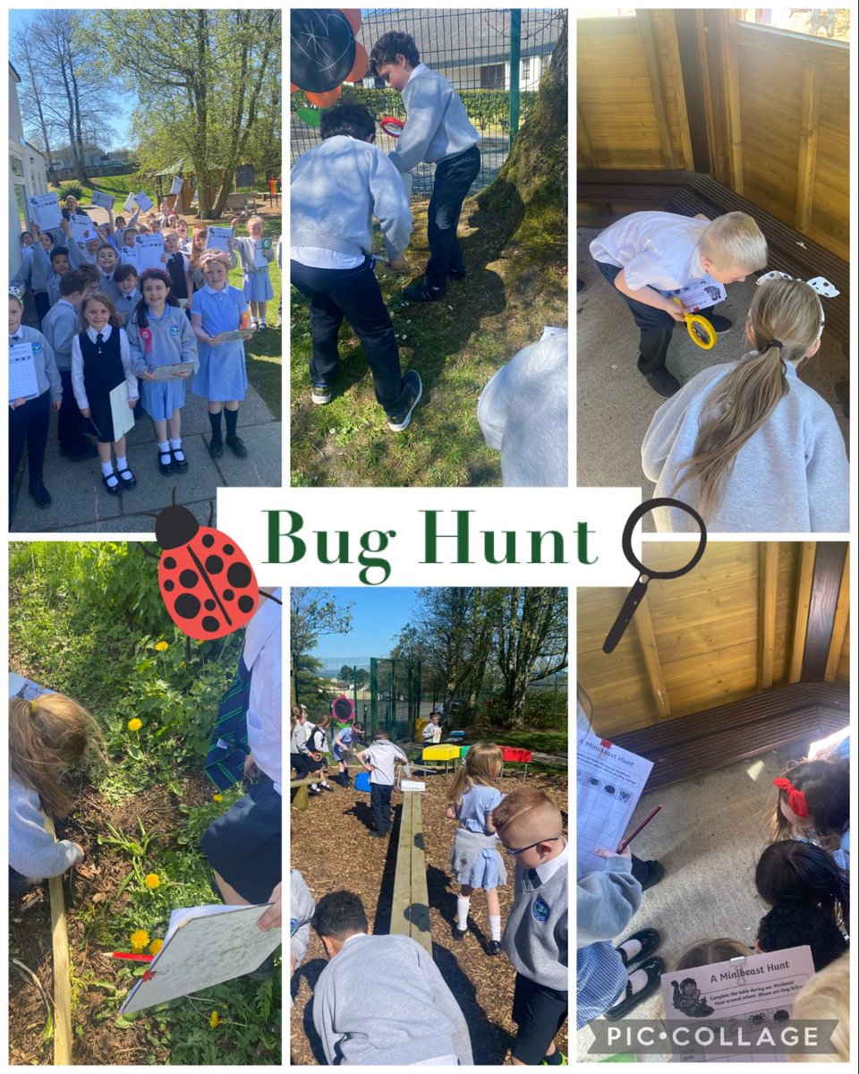 sacredhps's tweet photo. Miss Kennedy's Year 3 class were busy on their bug hunt yesterday as part of their new #worldaroundus topic! What beautiful weather for it too. https://t.co/ax40kXCSXv