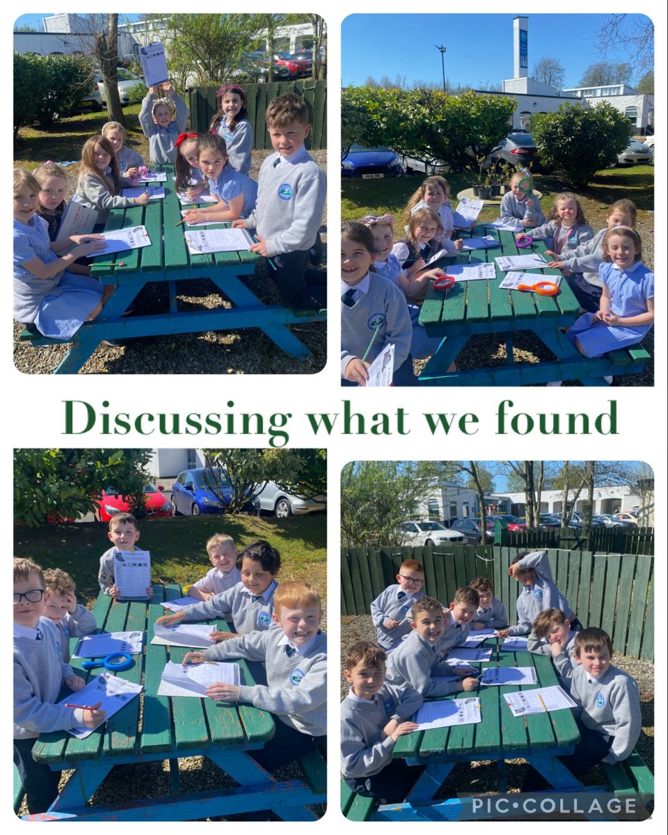 Miss Kennedy's Year 3 class were busy on their bug hunt yesterday as part of their new #worldaroundus topic! What beautiful weather for it too.