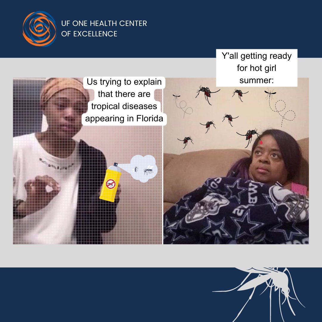 We have a new blog post y'all 

We know that you love our memes, but as summertime is approaching fast we NEED you to know about this.

Click below to read about dengue fever and why should you care about it:

#OneHealth #MakingScienceFun

blogs.ifas.ufl.edu/onehealth/2023…